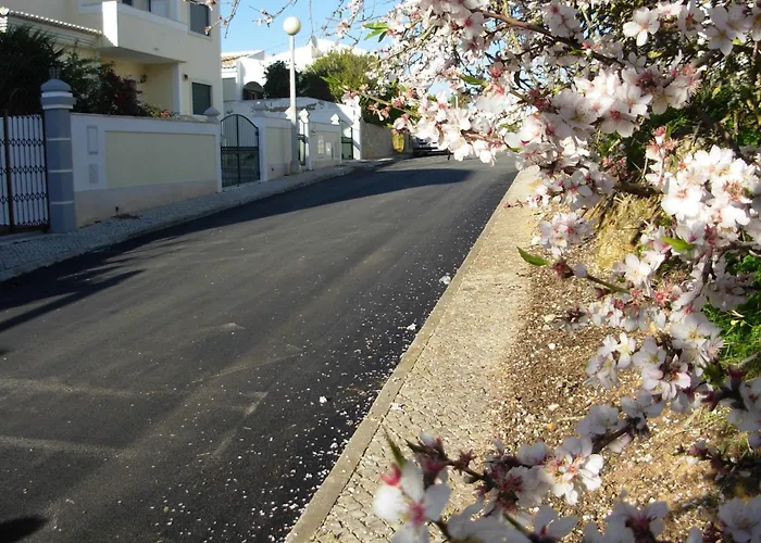 Vivenda Flandria With Private Pool - Free Wifi - 알보르