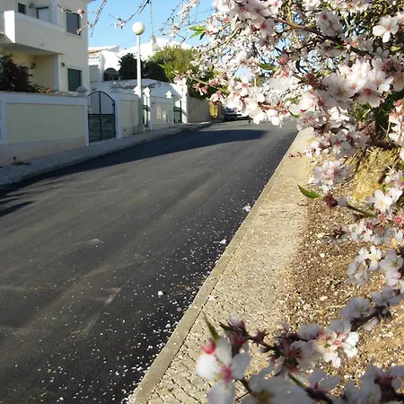 Vivenda Flandria With Private Pool - Free Wifi - Alvor